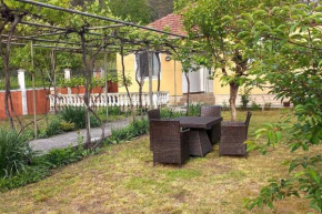 Authentic village house Virpazar
